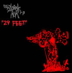  : 29 Feet